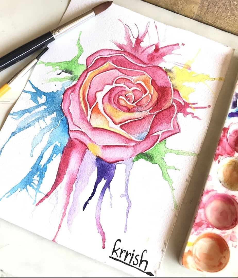 Rose 🌈